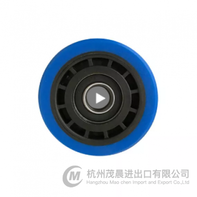 Step Roller for Schindler 9700 Escalators 100*25*6204 - 副本