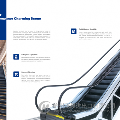ESCALATORS & MOVING WALKS - copy